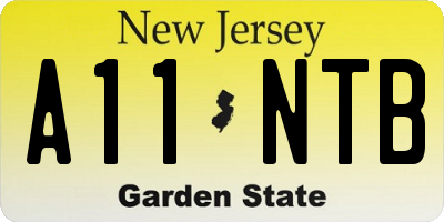 NJ license plate A11NTB