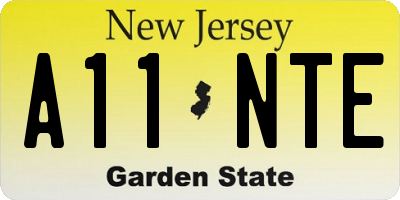 NJ license plate A11NTE