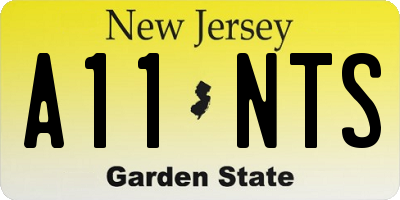 NJ license plate A11NTS
