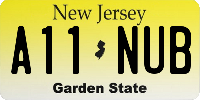 NJ license plate A11NUB