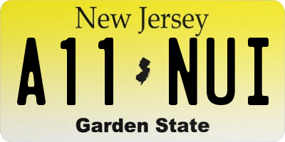 NJ license plate A11NUI