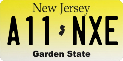 NJ license plate A11NXE