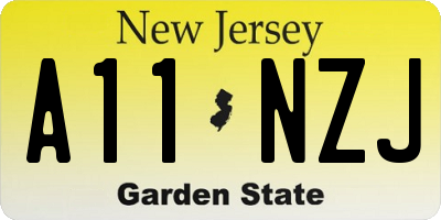 NJ license plate A11NZJ