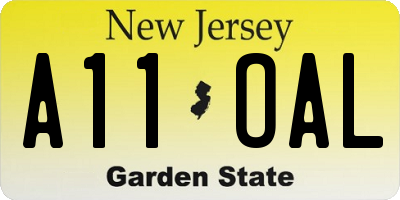NJ license plate A11OAL