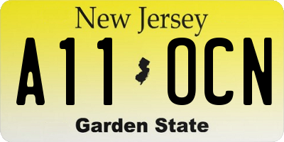 NJ license plate A11OCN