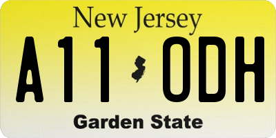 NJ license plate A11ODH