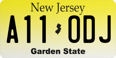 NJ license plate A11ODJ
