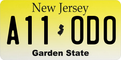 NJ license plate A11ODO