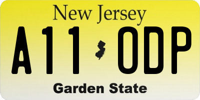 NJ license plate A11ODP