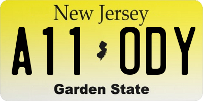 NJ license plate A11ODY