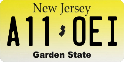 NJ license plate A11OEI