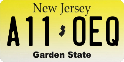 NJ license plate A11OEQ
