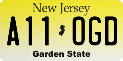 NJ license plate A11OGD