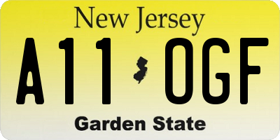 NJ license plate A11OGF