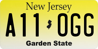 NJ license plate A11OGG
