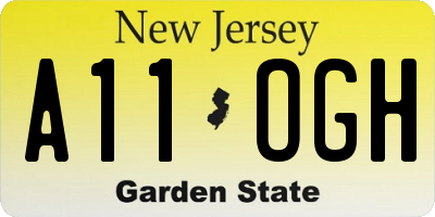 NJ license plate A11OGH