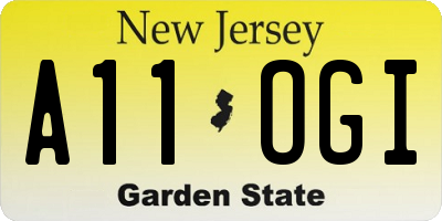 NJ license plate A11OGI