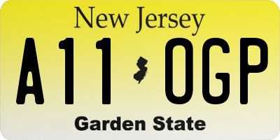 NJ license plate A11OGP
