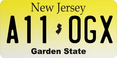 NJ license plate A11OGX