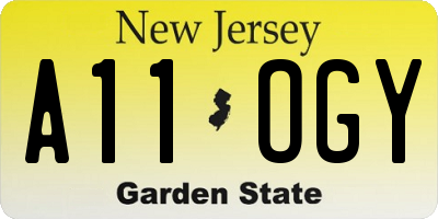 NJ license plate A11OGY