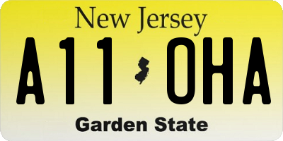 NJ license plate A11OHA