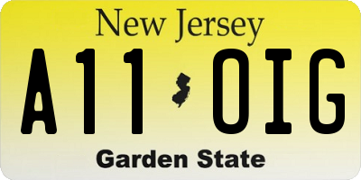 NJ license plate A11OIG