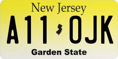 NJ license plate A11OJK