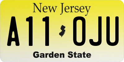 NJ license plate A11OJU