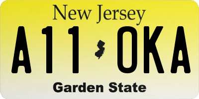 NJ license plate A11OKA
