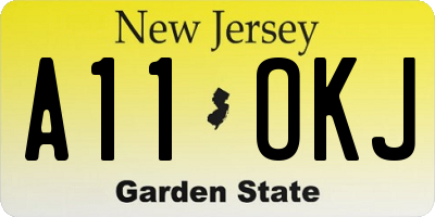 NJ license plate A11OKJ