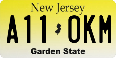 NJ license plate A11OKM