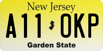 NJ license plate A11OKP