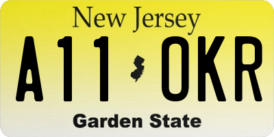 NJ license plate A11OKR