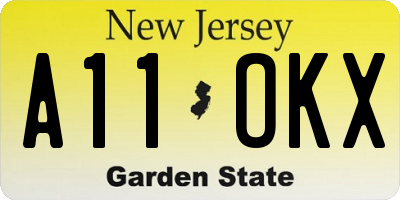 NJ license plate A11OKX