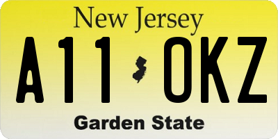 NJ license plate A11OKZ