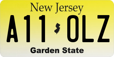 NJ license plate A11OLZ