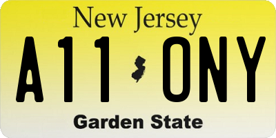 NJ license plate A11ONY