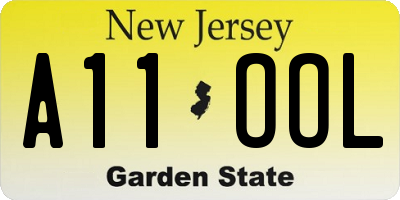 NJ license plate A11OOL