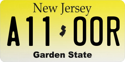 NJ license plate A11OOR