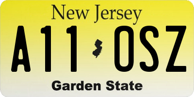 NJ license plate A11OSZ