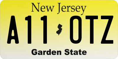 NJ license plate A11OTZ