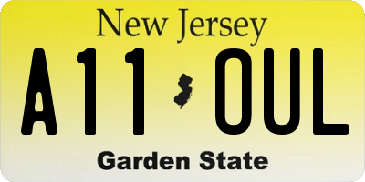 NJ license plate A11OUL