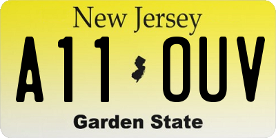 NJ license plate A11OUV