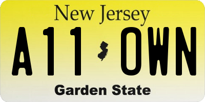 NJ license plate A11OWN