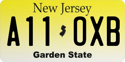 NJ license plate A11OXB