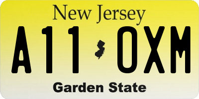 NJ license plate A11OXM