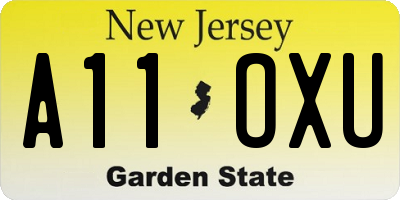 NJ license plate A11OXU
