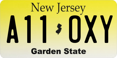 NJ license plate A11OXY