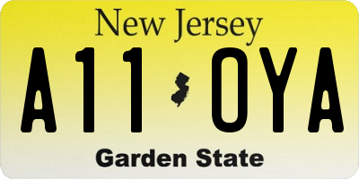 NJ license plate A11OYA