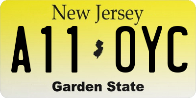 NJ license plate A11OYC